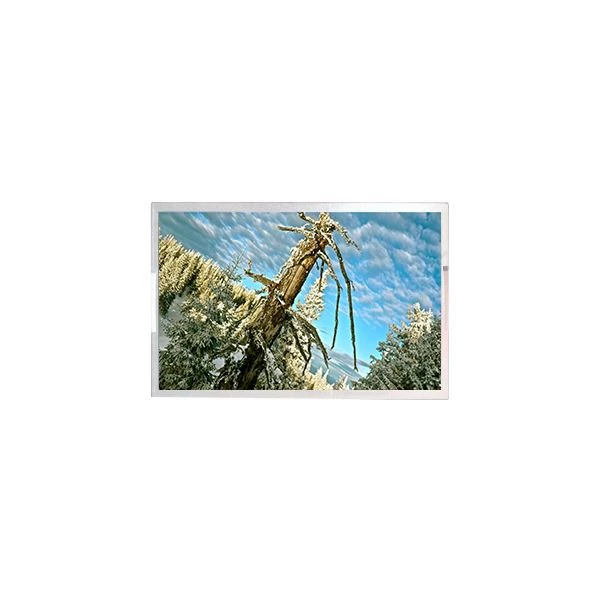 32. 0 polegada m315qvr 0 5.0 Cell 4K LCD Display