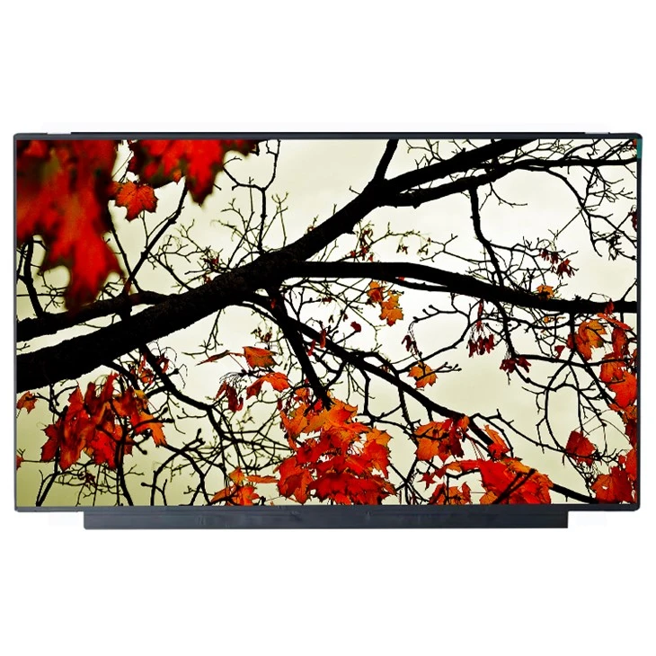 Painel LCD de NS160WU0-M60 16,0 tela LCD da polegada 1920*1200