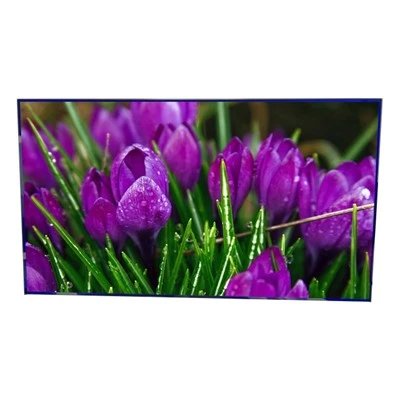 LTI550HN12 55 Polegadas 1920*1080 Tela LCD